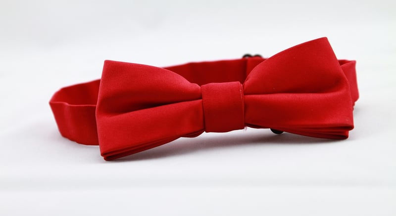 Modern Tie for Grooms